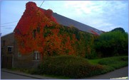 <font color="red"><font size="+1">Couleurs d automne... 2015..... Spectacle automnal avec de beaux contrastes et de belles couleurs</font></font>