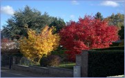 <font color="red"><font size="+1">Couleurs d automne... 2015..... Spectacle automnal avec de beaux contrastes et de belles couleurs</font></font>