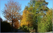 <font color="red"><font size="+1">Couleurs d automne... 2015..... Spectacle automnal avec de beaux contrastes et de belles couleurs</font></font>