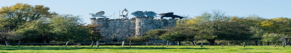 exemple de texte alternatif