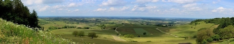 exemple de texte alternatif