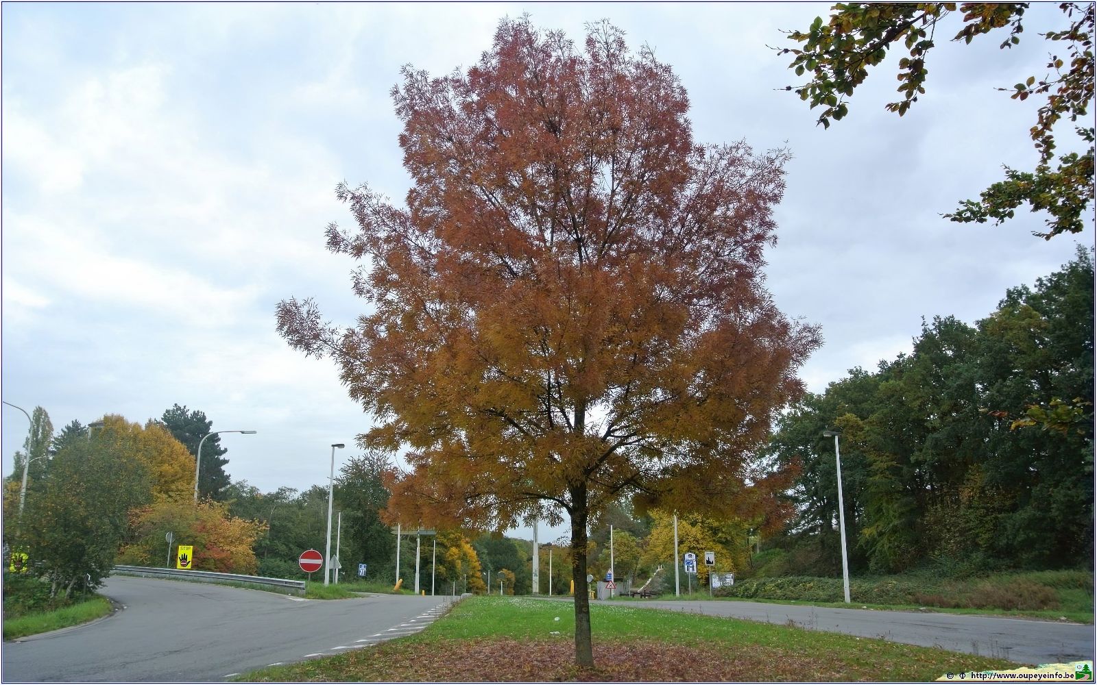 <font color="red"><font size="+1">Couleurs d automne... 2015..... Spectacle automnal avec de beaux contrastes et de belles couleurs</font></font>