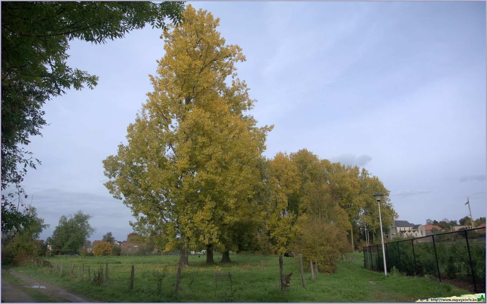 <font color="red"><font size="+1">Couleurs d automne... 2015..... Spectacle automnal avec de beaux contrastes et de belles couleurs</font></font>